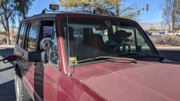 1989 Isuzu Trooper - Image 3 of 9
