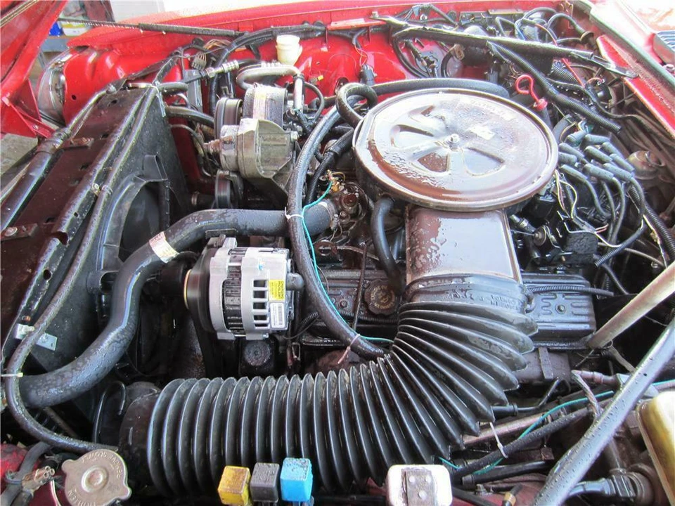 1989 Jaguar XJS - Image 3 of 5