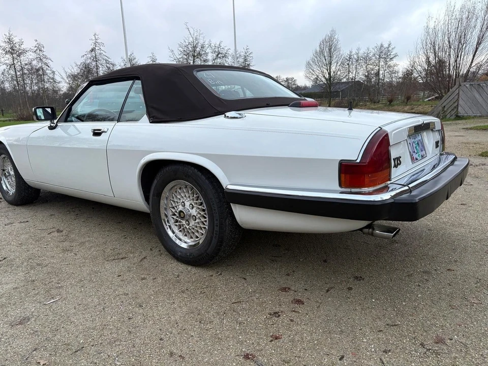 1989 Jaguar XJS Pre-Facelift V12 - Image 16 of 31