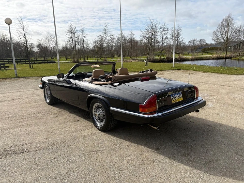 1989 Jaguar XJS Pre-Facelift V12 - Image 8 of 30