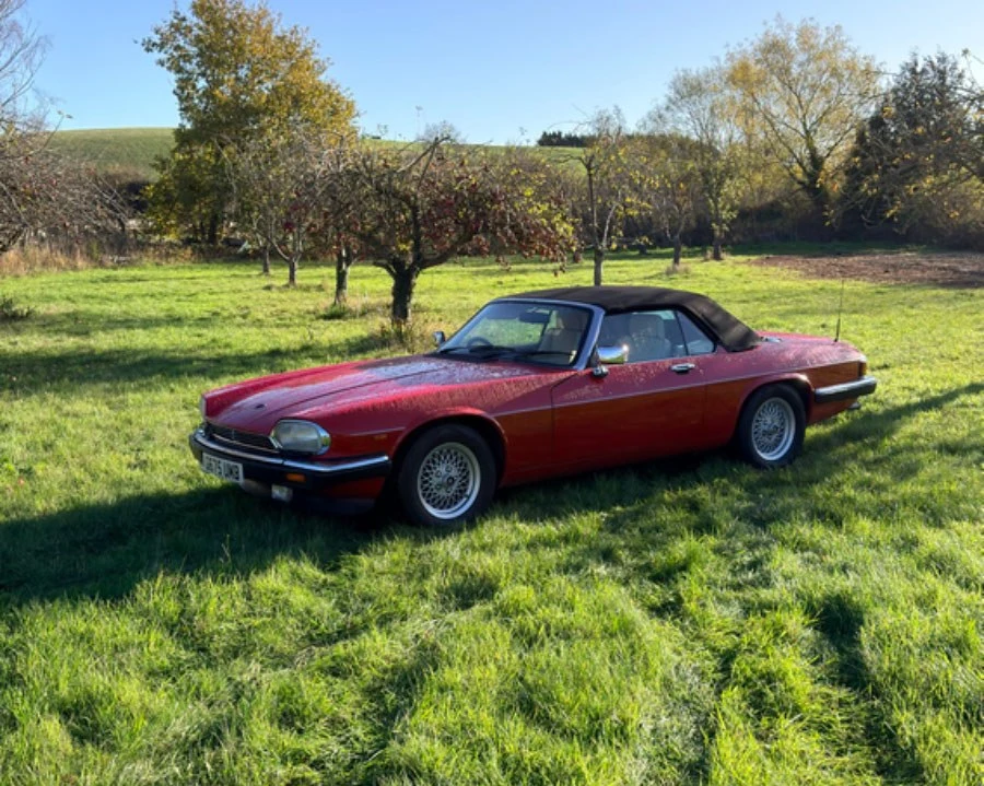 1989 Jaguar XJS Pre-Facelift V12 - Image 15 of 30