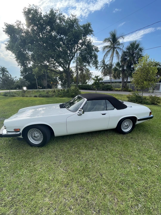 1989 Jaguar XJS Convertible - Image 17 of 31