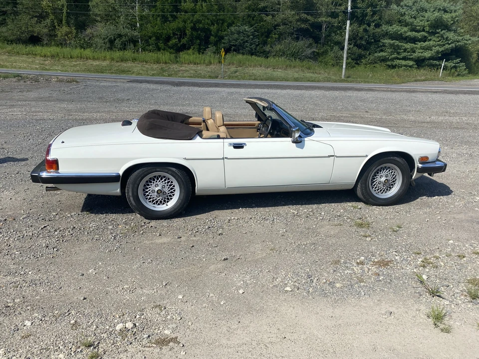 1989 Jaguar XJS Pre-Facelift V12 - Image 8 of 31