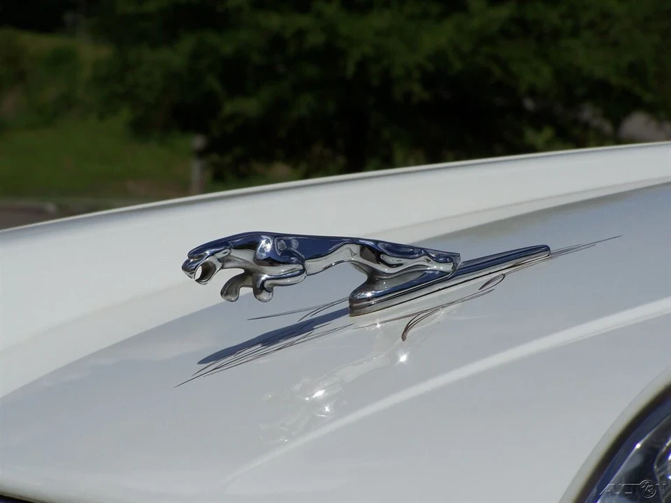 1989 Jaguar XJS Convertible - Image 10 of 12