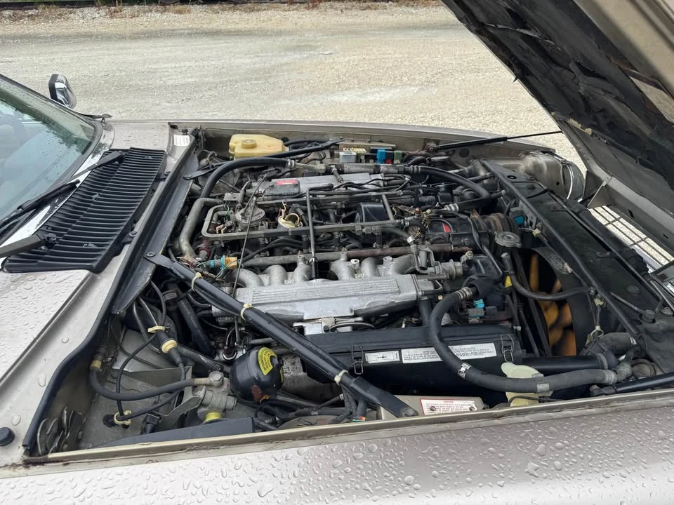 1989 Jaguar XJS Pre-Facelift V12 - Image 12 of 14