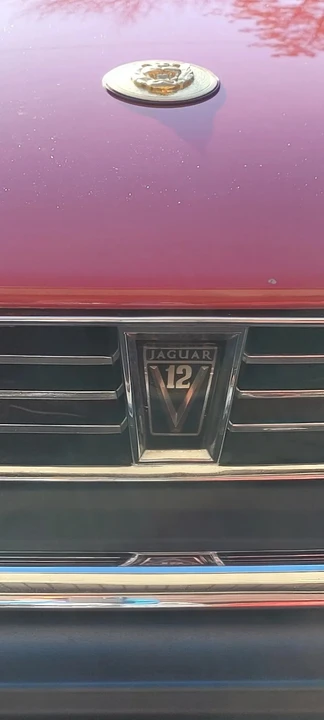 1989 Jaguar XJS Pre-Facelift V12 - Image 5 of 19