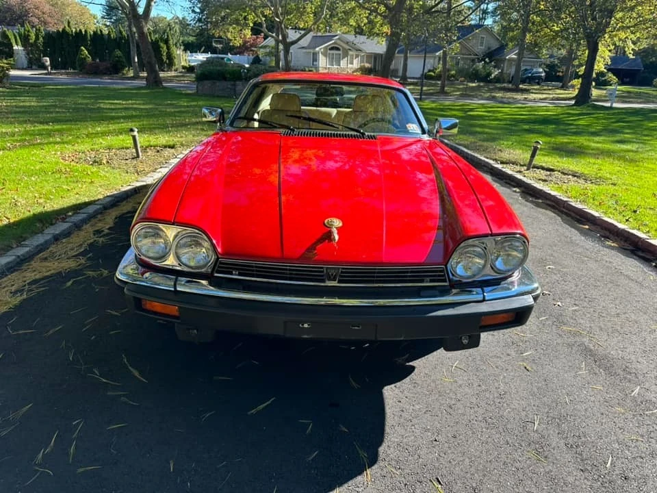 1989 Jaguar XJS Convertible - Image 6 of 21
