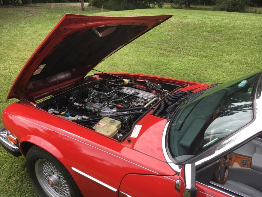 1989 Jaguar XJS Convertible - Image 6 of 11