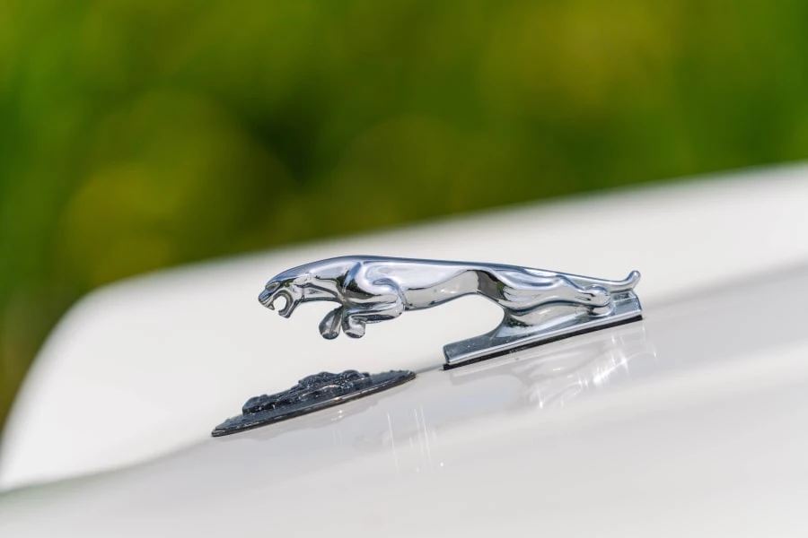 1989 Jaguar XJS Convertible - Image 7 of 21
