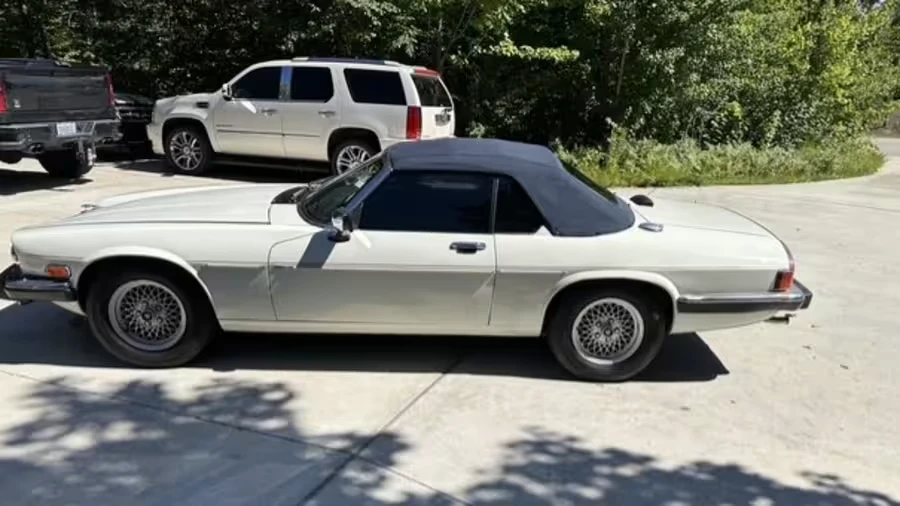 1989 Jaguar XJS Convertible - Image 6 of 17