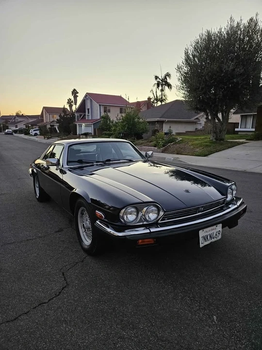 1989 Jaguar XJS - Image 13 of 14