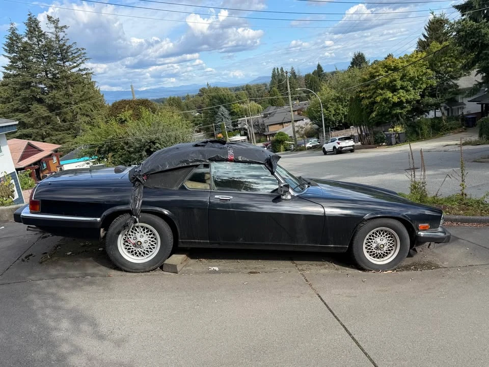 1989 Jaguar XJS - Image 5 of 5