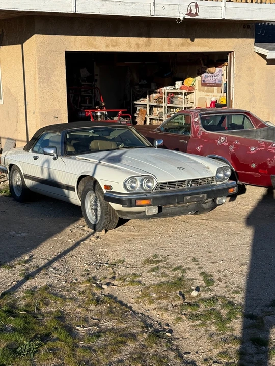 1989 Jaguar XJS - Image 19 of 19