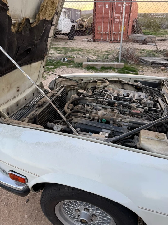 1989 Jaguar XJS - Image 2 of 3