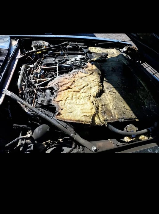 1989 Jaguar XJS Pre-Facelift V12 - Image 12 of 12