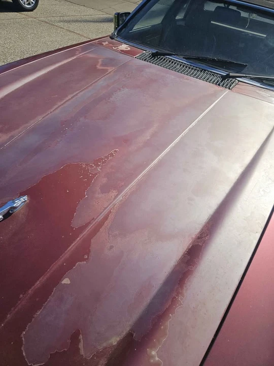 1989 Jaguar XJS Pre-Facelift V12 - Image 4 of 5
