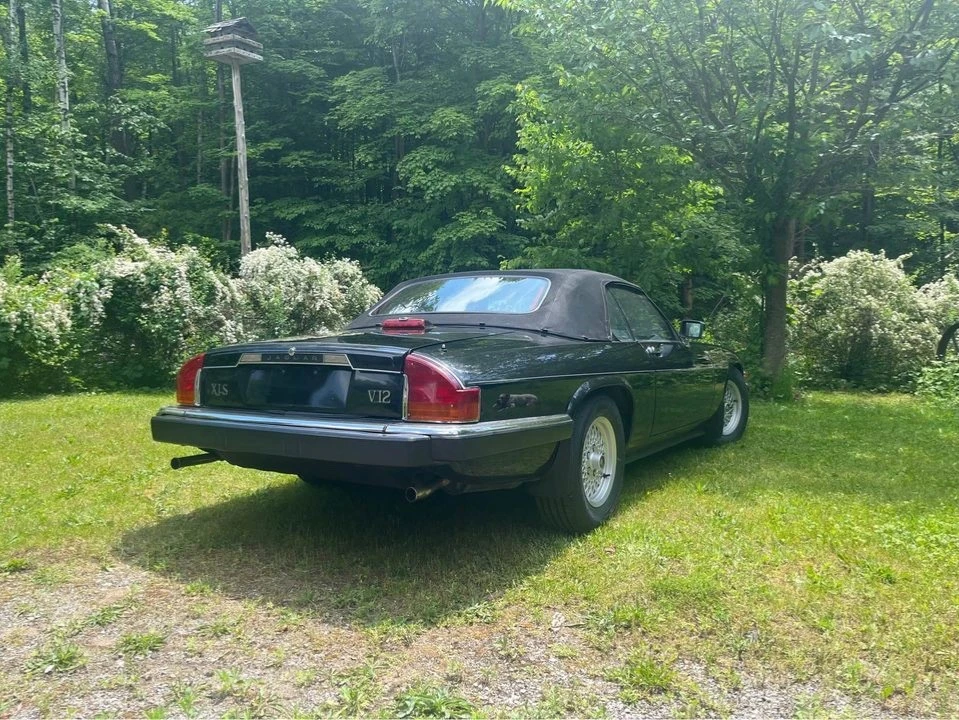 1989 Jaguar XJS Convertible - Image 8 of 20
