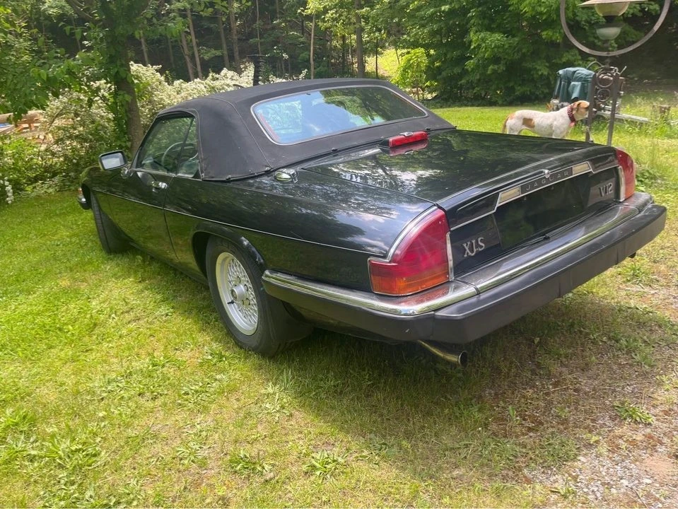 1989 Jaguar XJS Convertible - Image 3 of 20