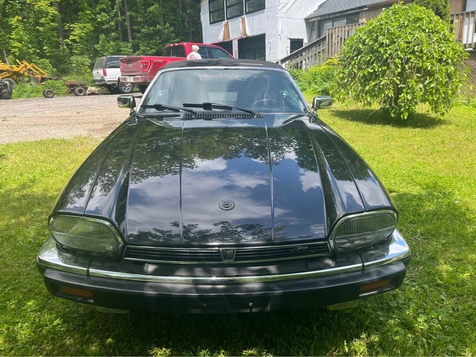 1989 Jaguar XJS Convertible - Image 4 of 20