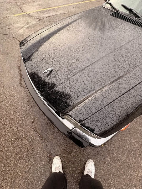 1989 Jaguar XJ - Image 15 of 17