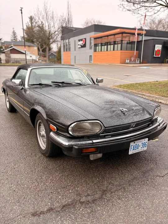 1989 Jaguar XJ - Image 14 of 17