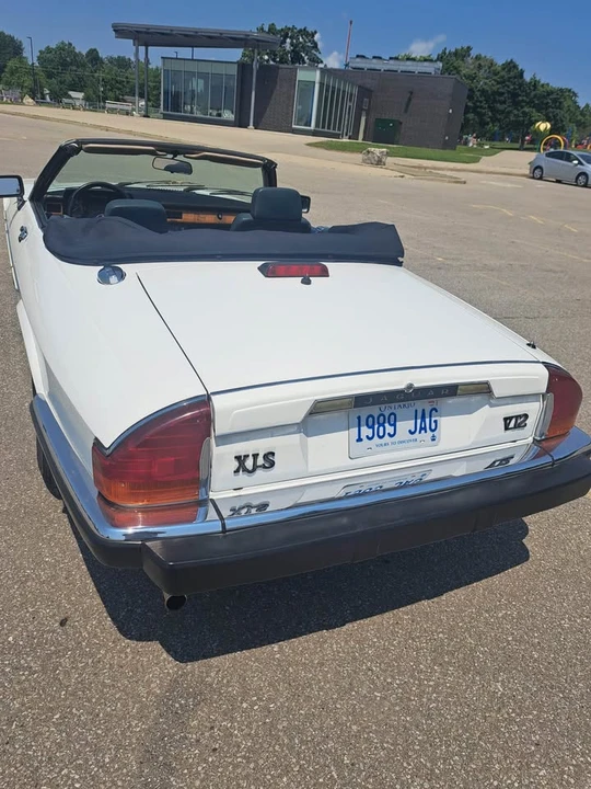 1989 Jaguar XJS - Image 3 of 8