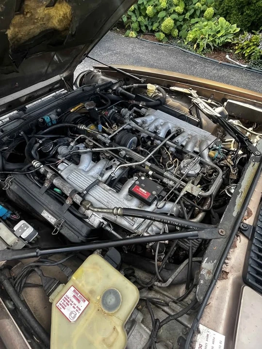 1989 Jaguar XJS - Image 11 of 11