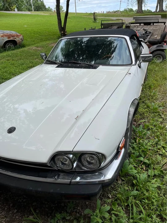 1989 Jaguar XJS - Image 2 of 8