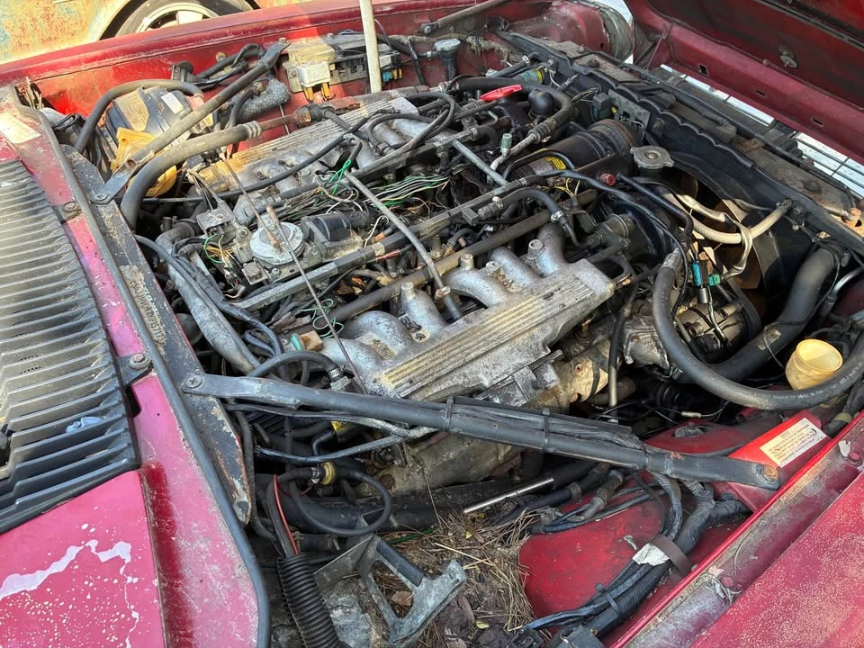 1989 Jaguar XJS Pre-Facelift V12 - Image 10 of 12