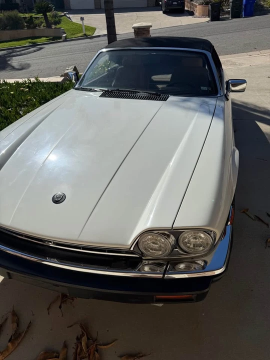1989 Jaguar XJS Pre-Facelift V12 - Image 8 of 11