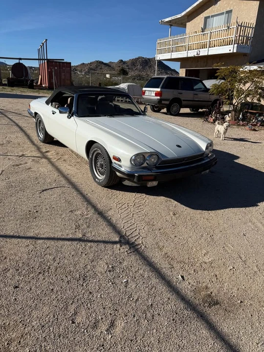 1989 Jaguar XJS Pre-Facelift V12 - Image 5 of 5