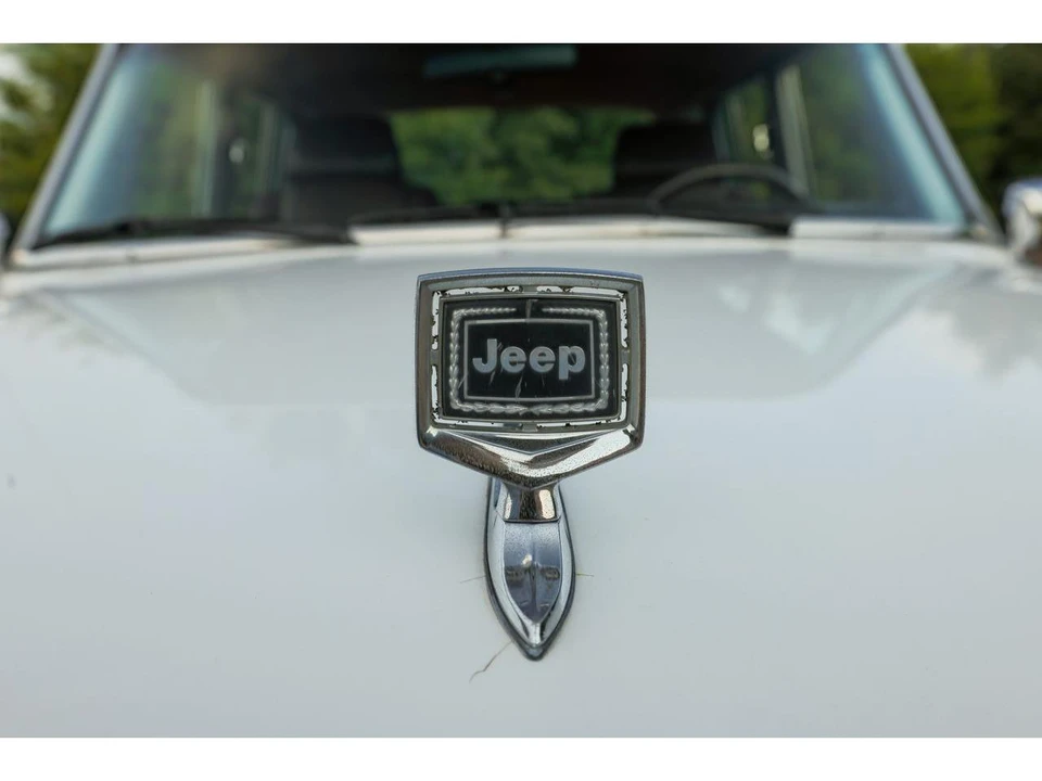 1989 Jeep SJ Grand Wagoneer - Image 26 of 31