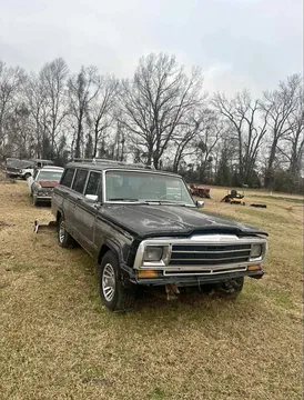 1989 Jeep Wagoneer