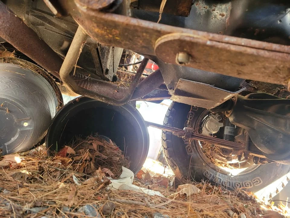 1989 Jeep YJ Wrangler - Image 19 of 20