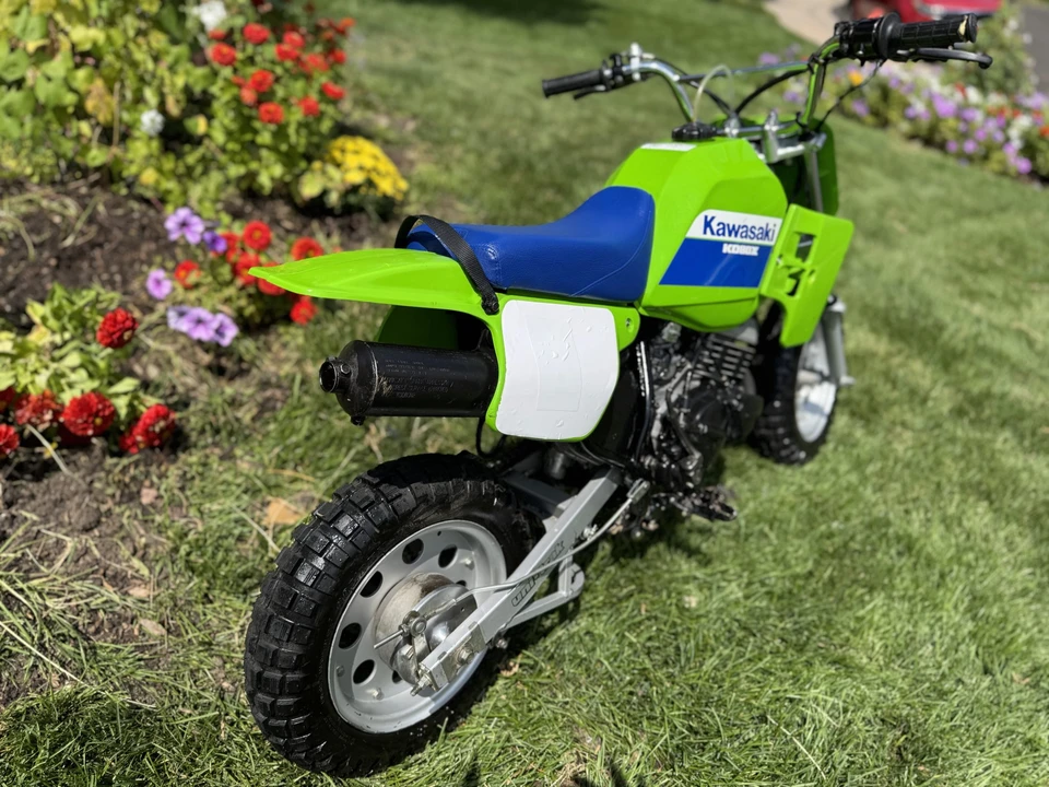 1989 Kawasaki - Image 10 of 31