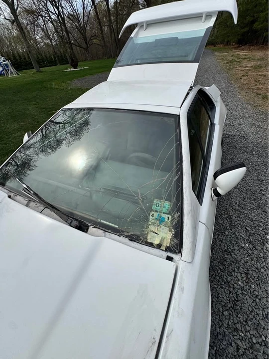 1989 Lotus Esprit X180 - Image 3 of 14