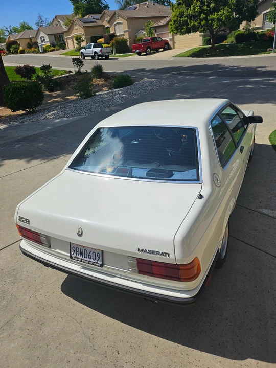 1989 Maserati 222 - Image 12 of 31