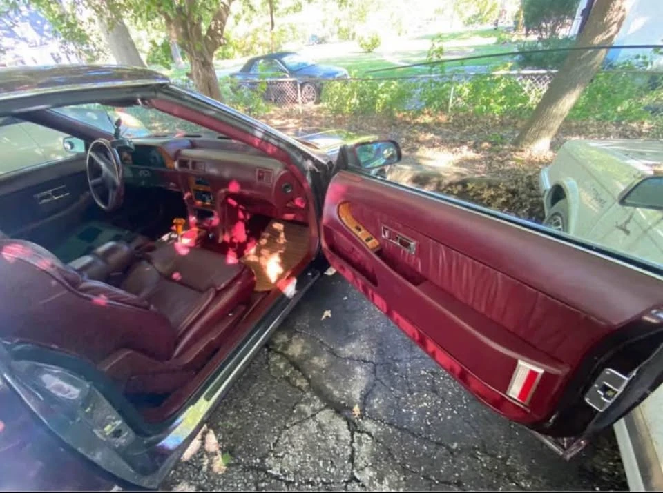 1989 Maserati 222 - Image 10 of 13