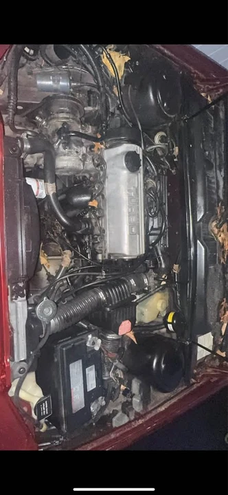 1989 Maserati 222 - Image 5 of 13