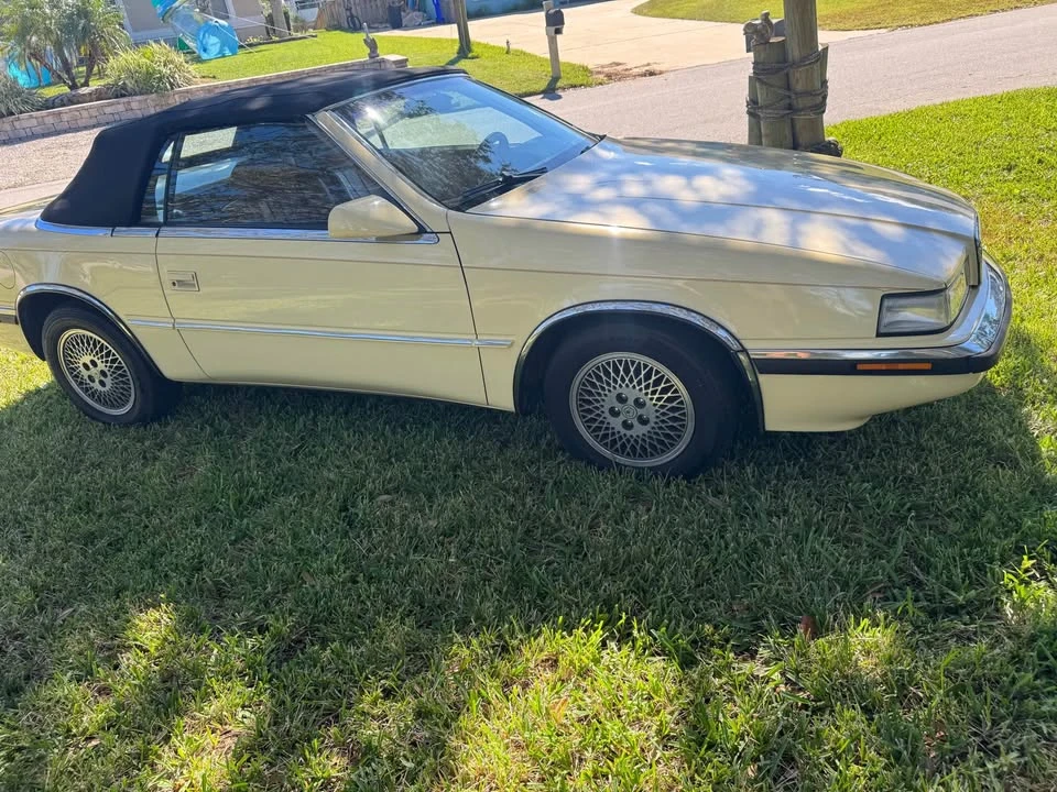 1989 Maserati 222 - Image 2 of 19