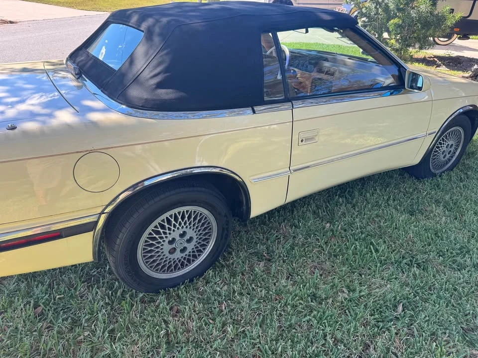 1989 Maserati 222 - Image 7 of 15