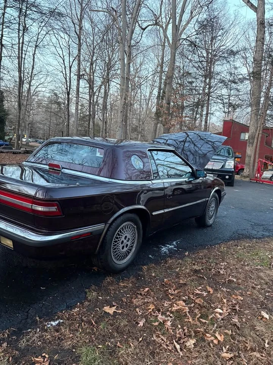 1989 Maserati 222 - Image 7 of 8