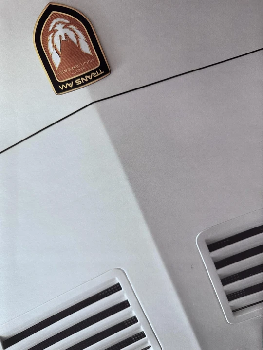 1989 Pontiac Firebird Trans Am 3rd Gen - Image 15 of 31