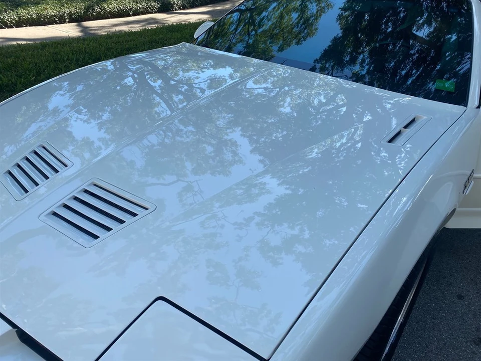 1989 Pontiac Firebird Trans Am 3rd Gen - Image 20 of 31
