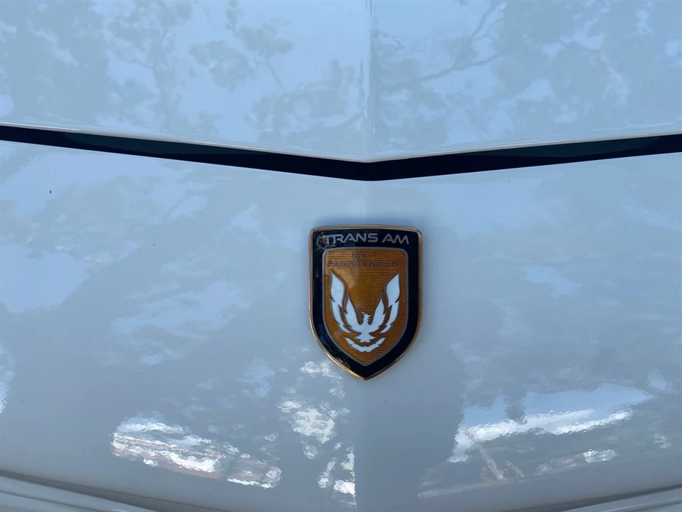 1989 Pontiac Firebird Trans Am 3rd Gen - Image 26 of 31