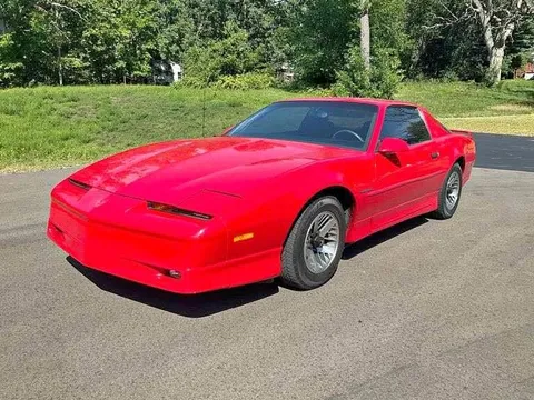 1989 Pontiac Firebird Basic