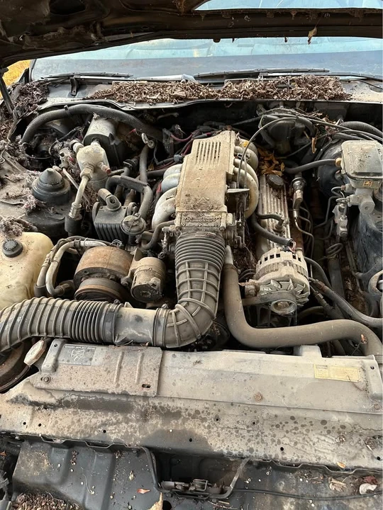 1989 Pontiac Firebird Formula 3rd Gen - Image 3 of 4
