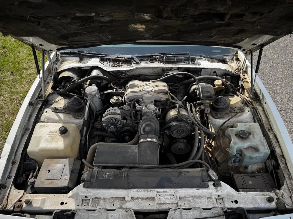 1989 Pontiac Firebird 3rd Gen - Image 3 of 14