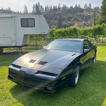 1989 Pontiac Firebird Trans Am GTA