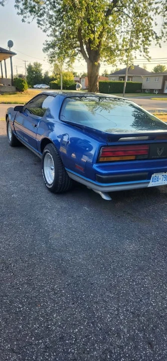 1989 Pontiac Firebird 3rd Gen - Image 3 of 10